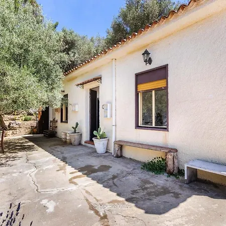 Casa Angelica * Noto